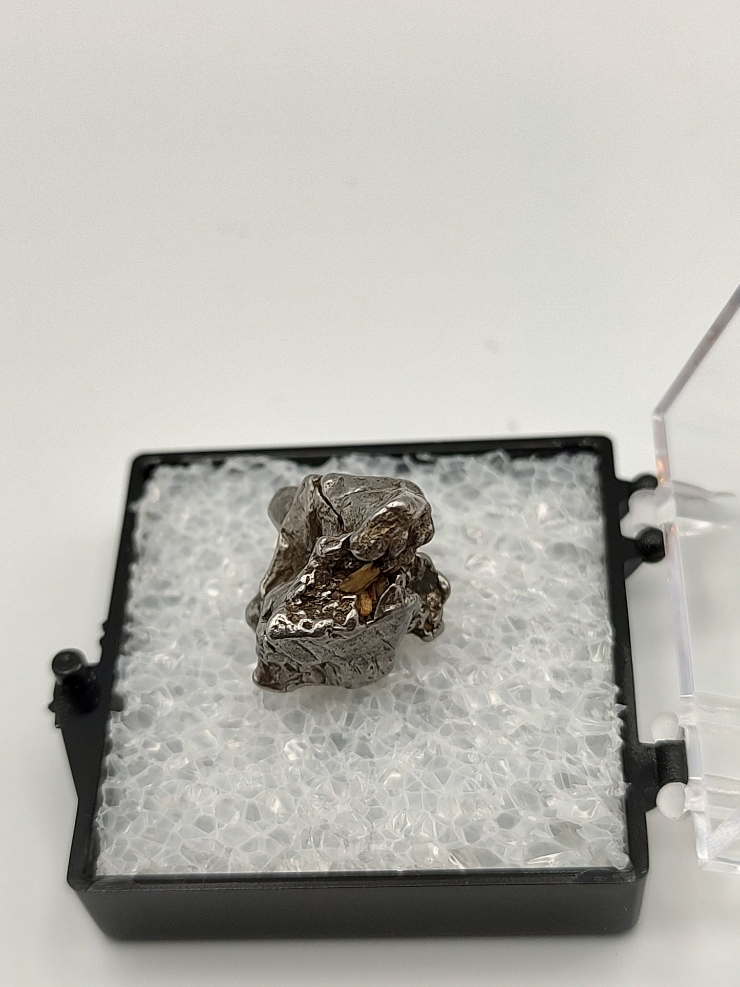 Meteorite Campo del Cielo Collection #05