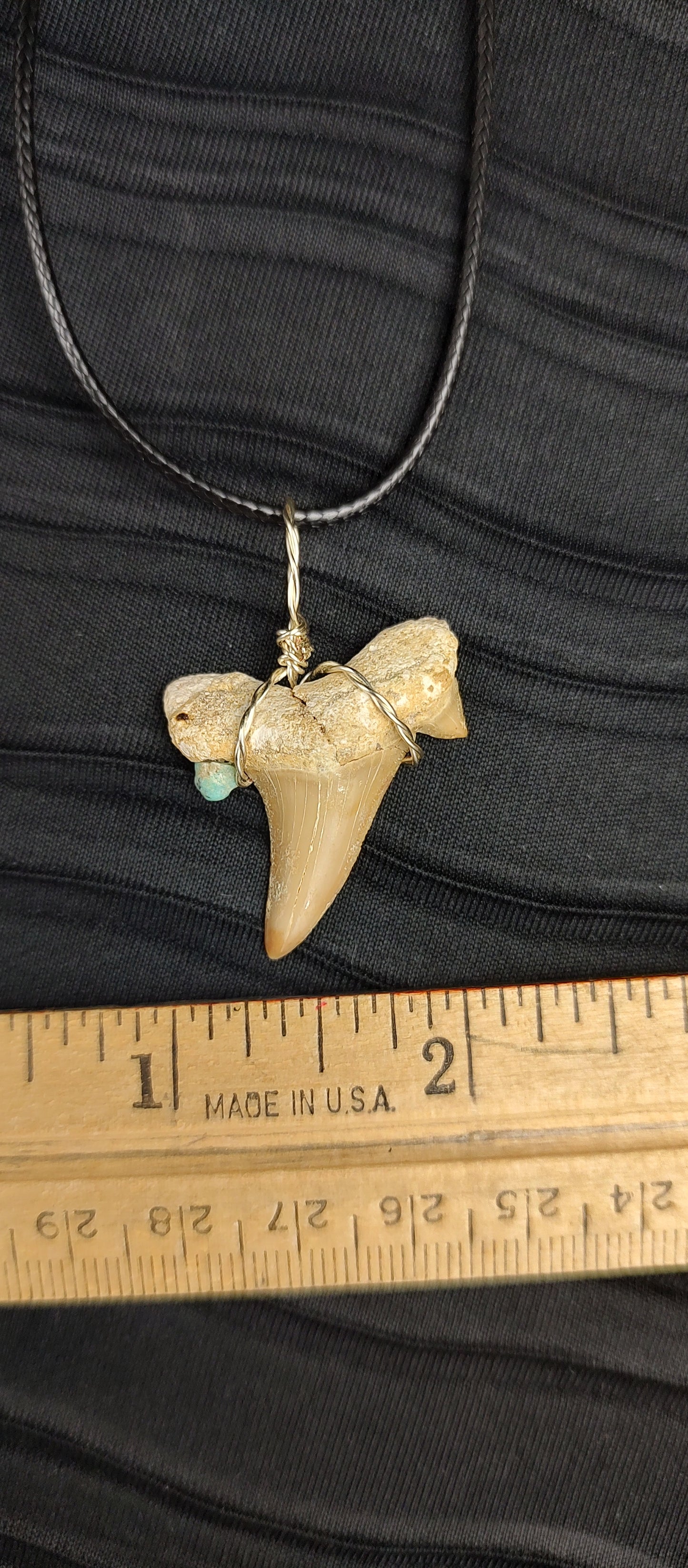 Shark Tooth Pendant #01