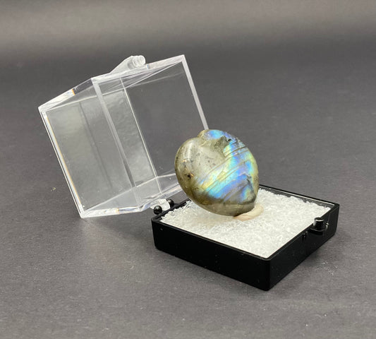 Labradorite Collection #8 Perky