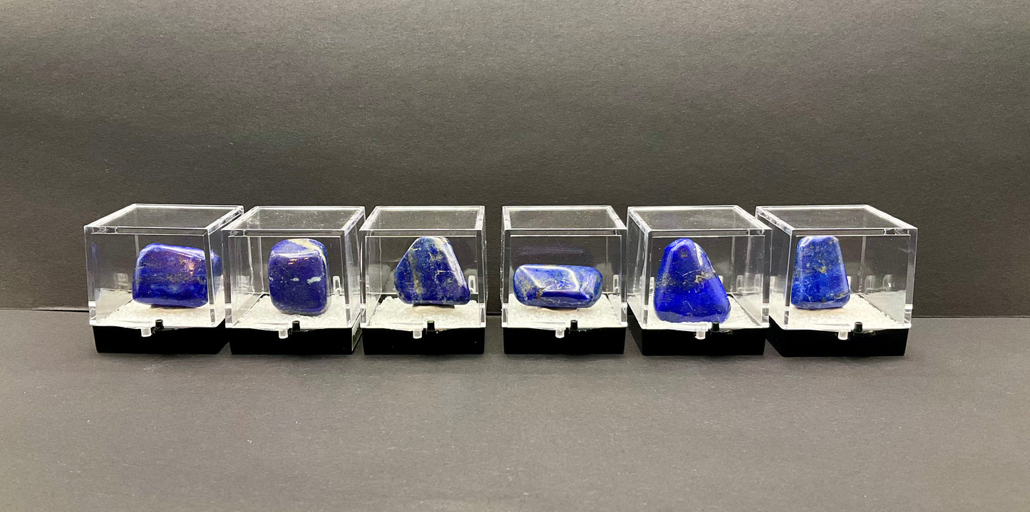 Lapis Lazuli Collection #1 Perky