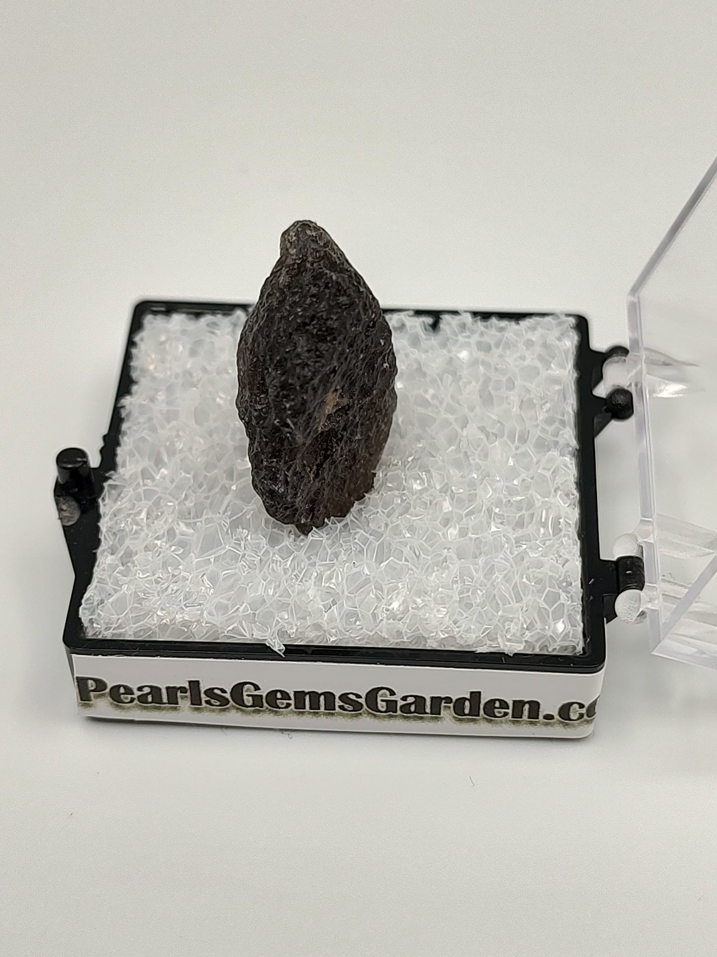 Tektite Asia Collection #01