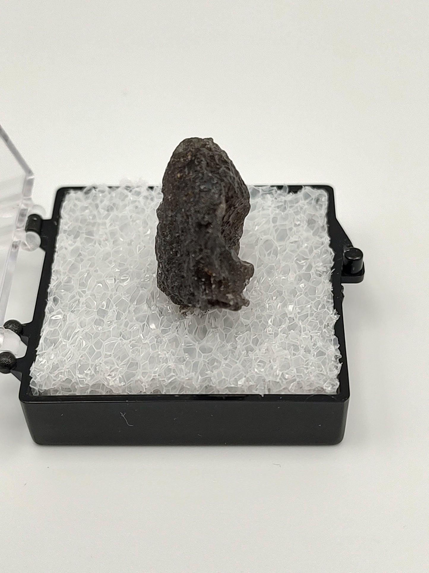 Tektite Asia Collection #01