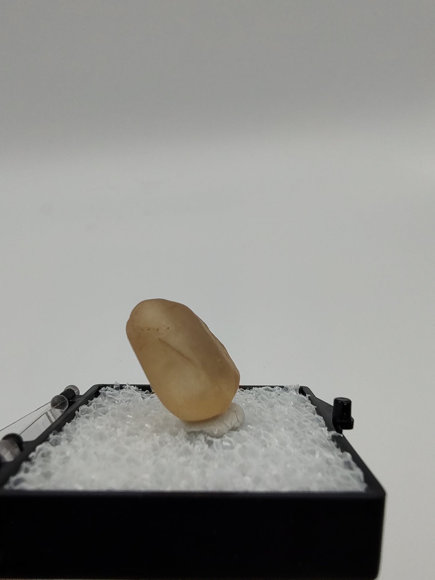 Libyan Desert Glass Collection #01