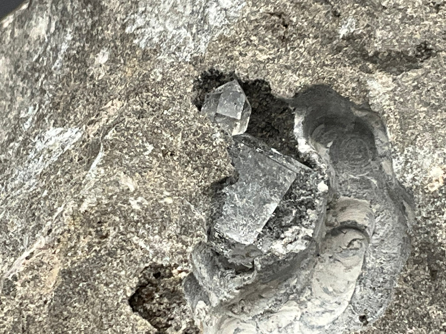 Herkimer Collection #04