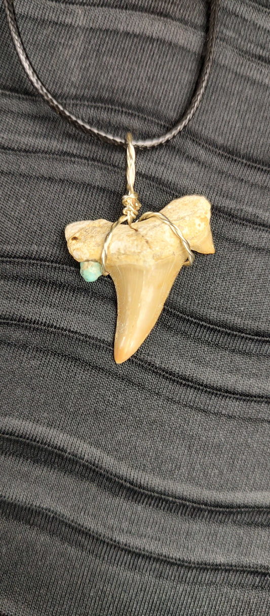 Shark Tooth Pendant #01