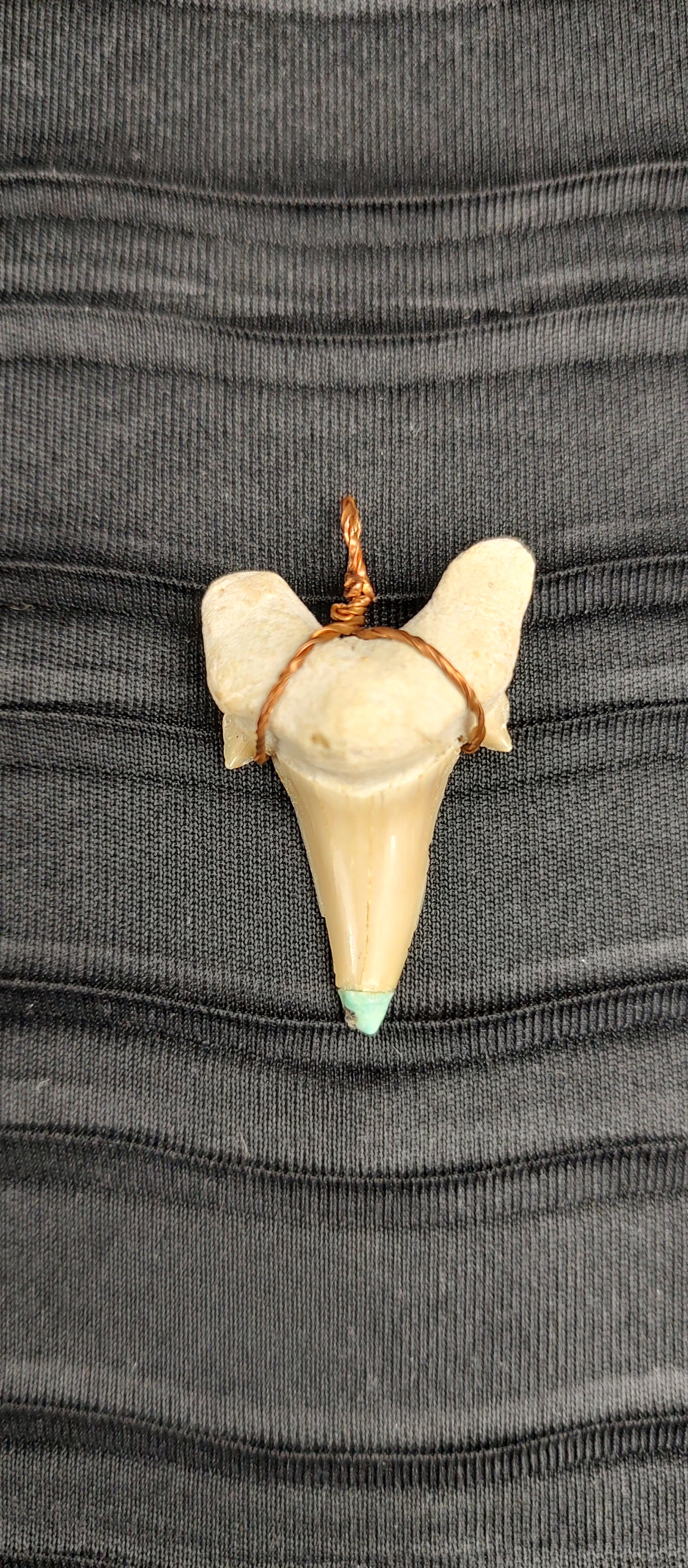 Shark Tooth w/ Turquoise Pendant #02