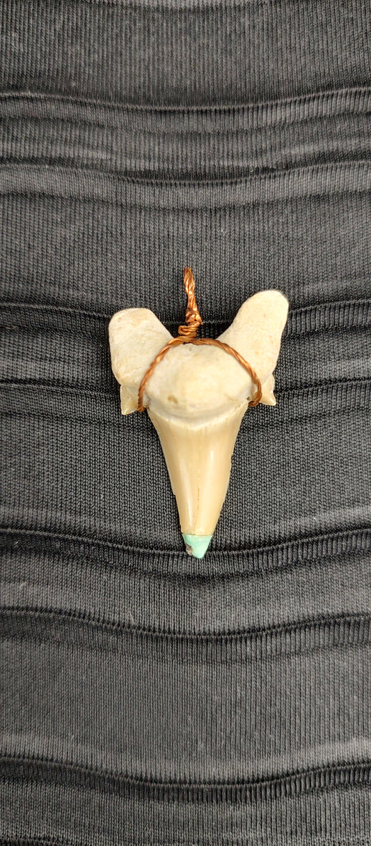 Shark Tooth w/ Turquoise Pendant #02