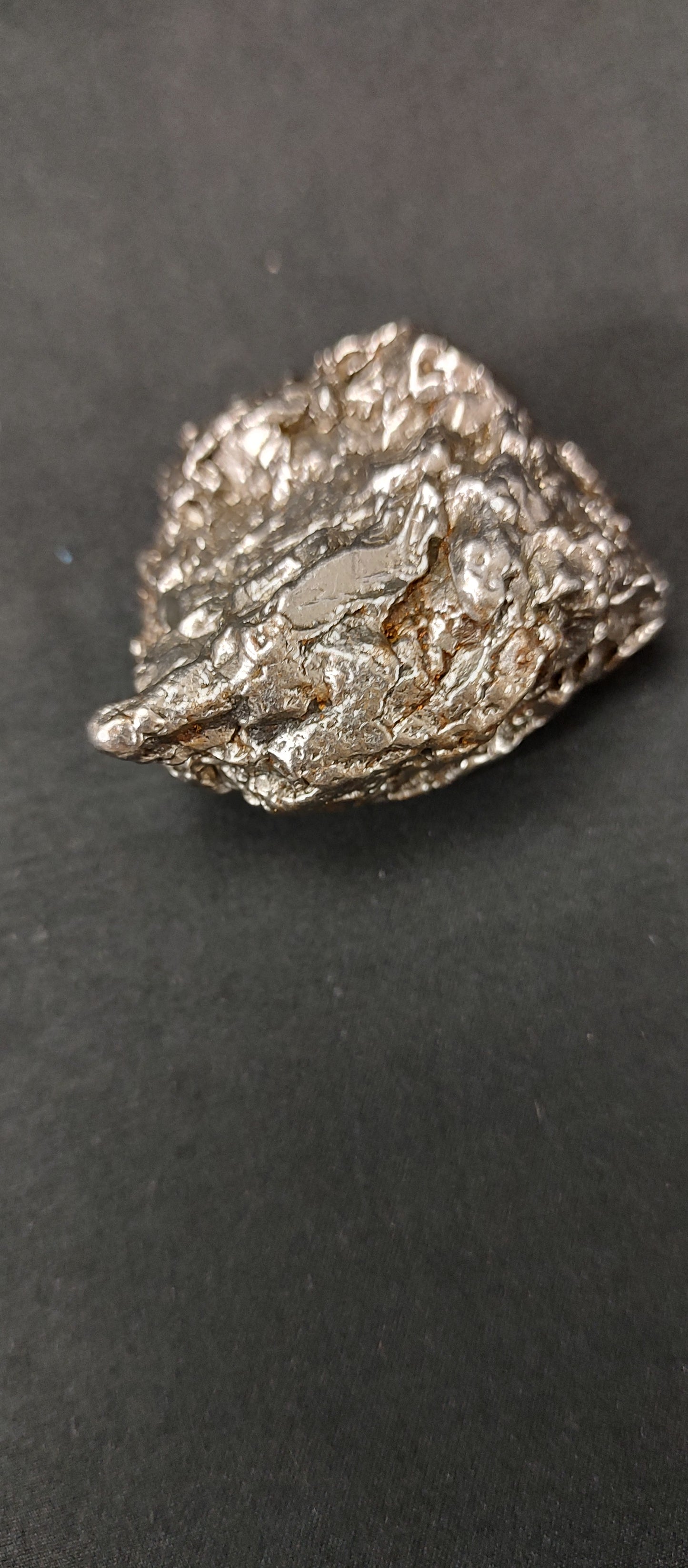Meteorite Campo del Cielo Collection #04