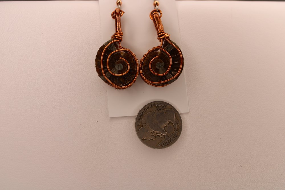 Ammonite Earrings