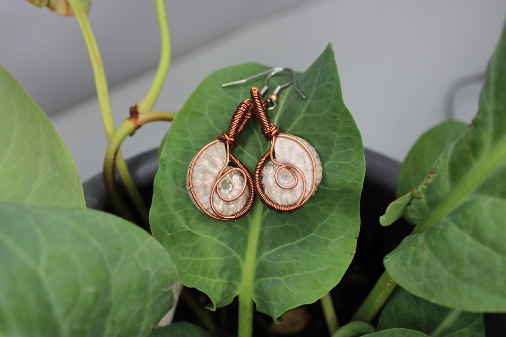 Ammonite Earrings