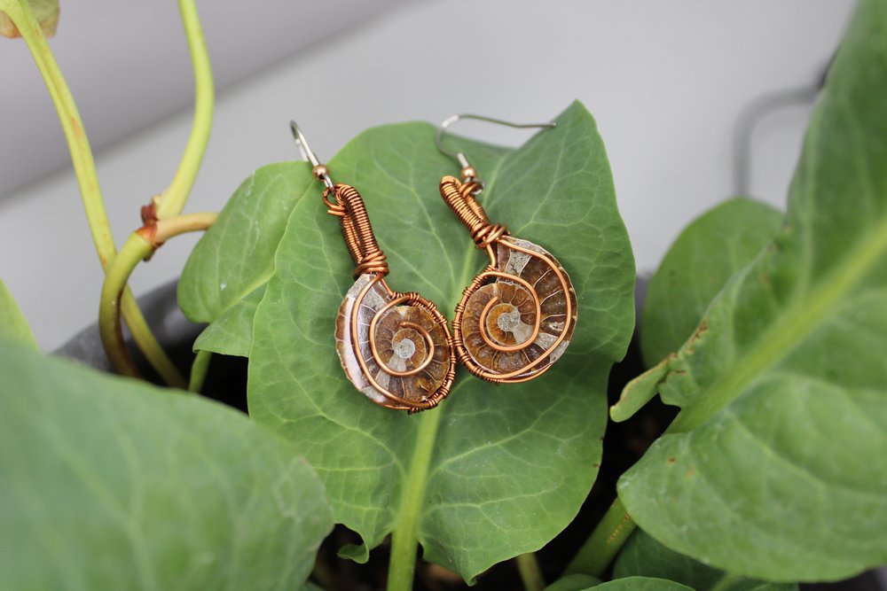 Ammonite Earrings
