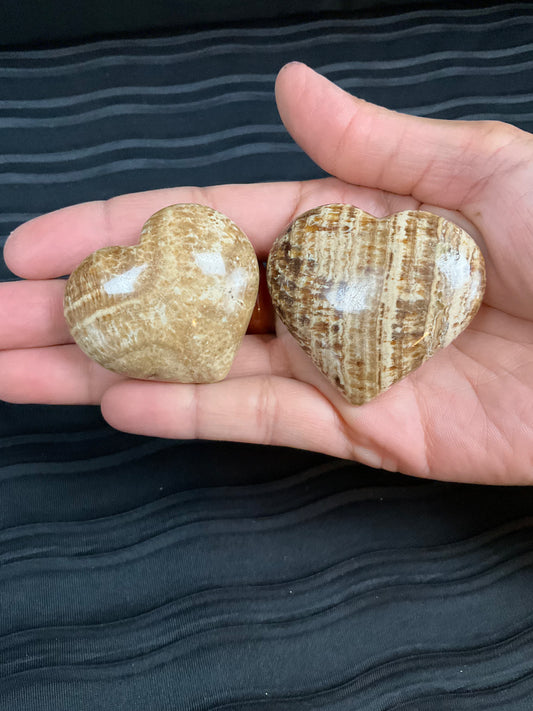 Aragonite Collection Heart Small